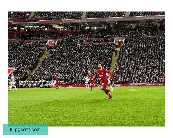 从科曼对阵德国美洲杯表现看关键数据背后的战术逻辑与胜负走向解析