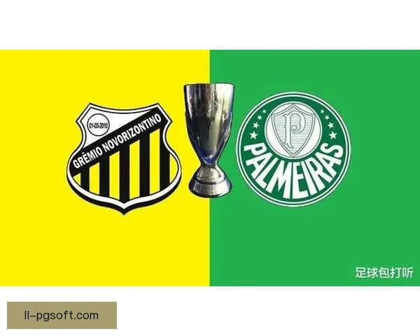 百年豪门桑托斯队史首次降入巴乙震动巴西足坛传奇为何走到低谷时刻