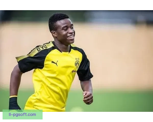 范德法特频繁在电视节目中批评荷甲球员引发争议与关注