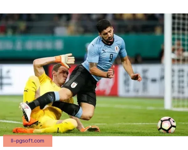 FIFA国际比赛日赛程精彩回顾与未来走势全面解析展望篇章深度透视